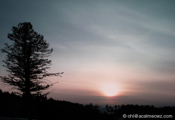 2010.03.24 0845p Targhee